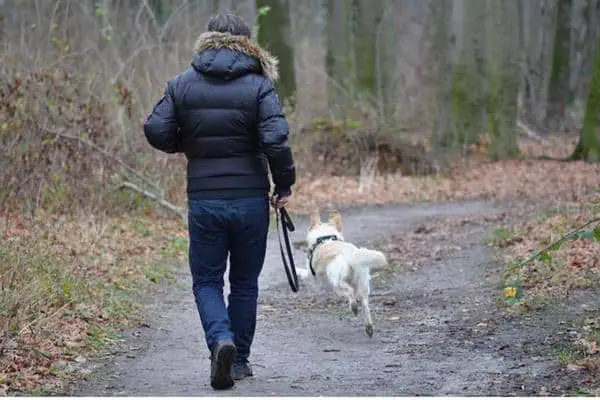 Walking with dog on leash