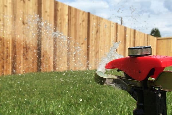 Lawn and water sprinkler