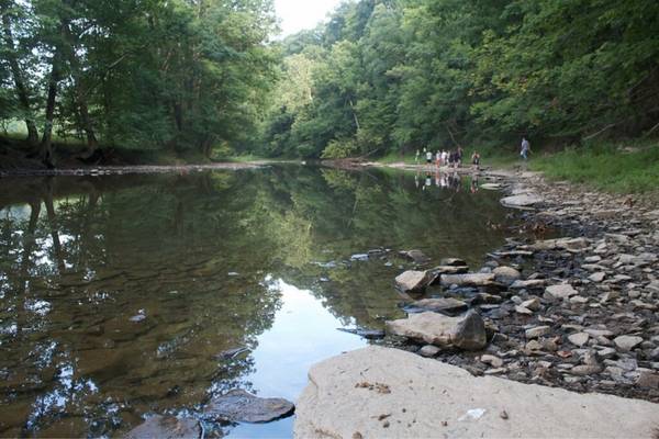 Hellbender habitat